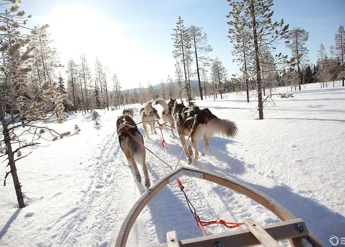 샬레 Viprakka 레비